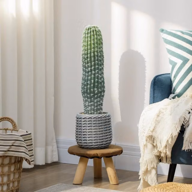 Cactus artificial con maceta Homcom verde, planta decorativa de estilo moderno para interior, An/P/Al: 20 x 20 x 66 cm