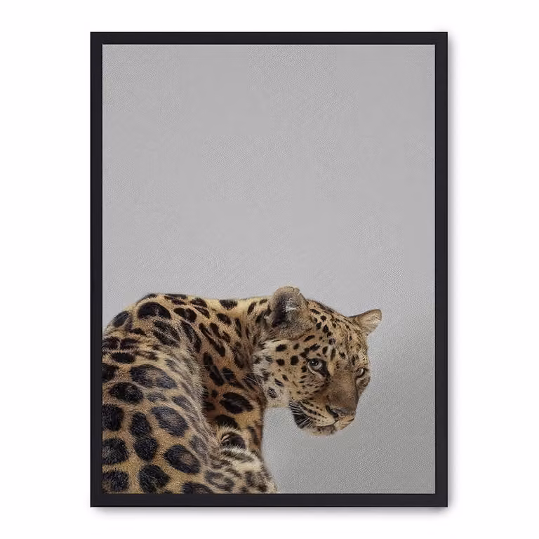 Poster Lab Cuadro Fotografía Animal Print Multicolor con Marco de Madera Negro de 30 cm