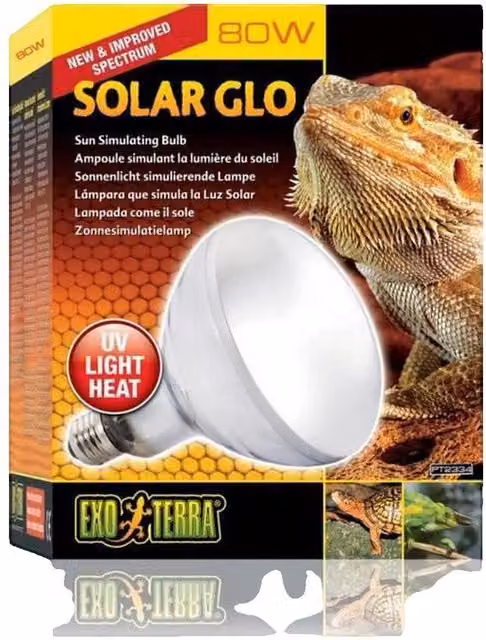Bombilla de vapor de mercurio Exo Terra Solar Glo de 80 W, luz blanca transparente de 4000 K y 650 lúmenes