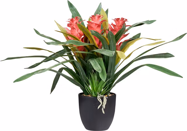 Planta Artificial Guzmania Atilla de Beliani con Maceta Negra en Colores Verde y Rojo para Decoración de Interior