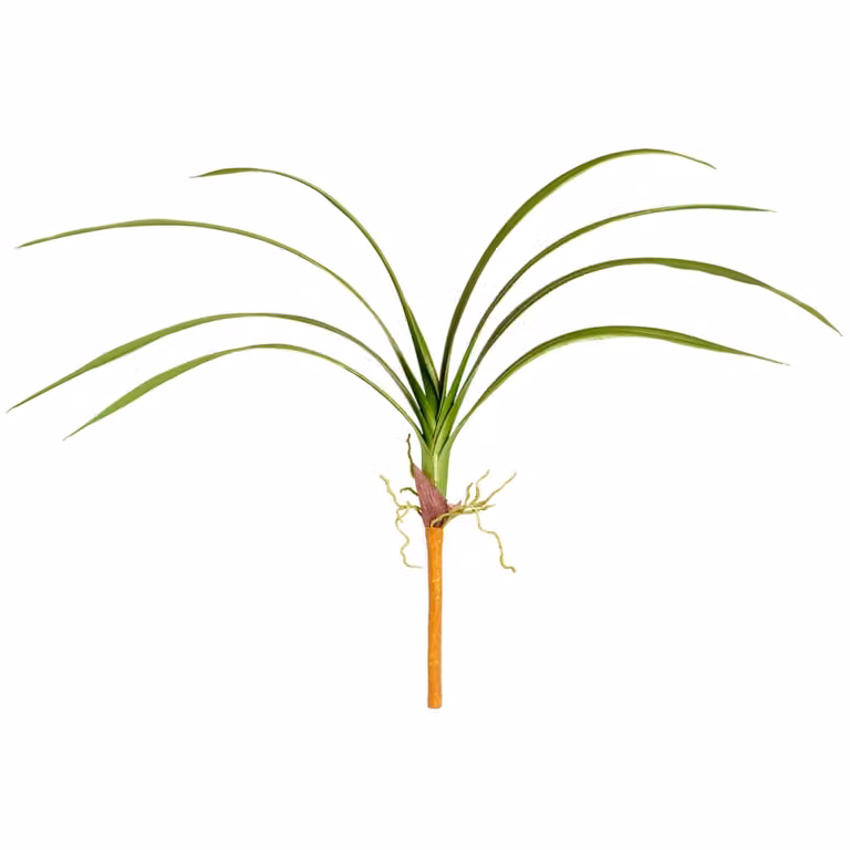 Rama de hojas de orquídea cymbidium artificial Sia Deco color verde, Altura: 80 cm