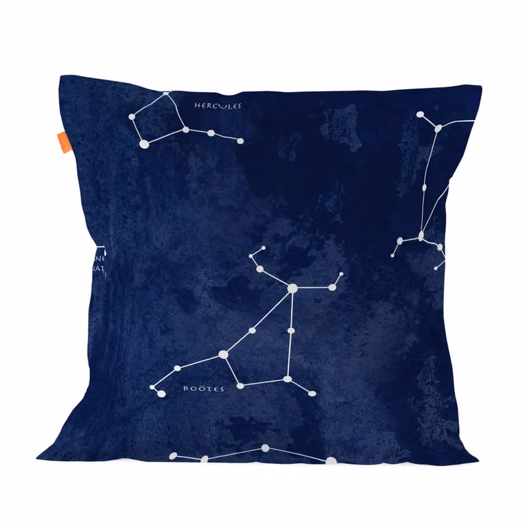 Funda de almohada Happy Friday de algodón multicolor con diseño gráfico de naturaleza, 80x80 cm