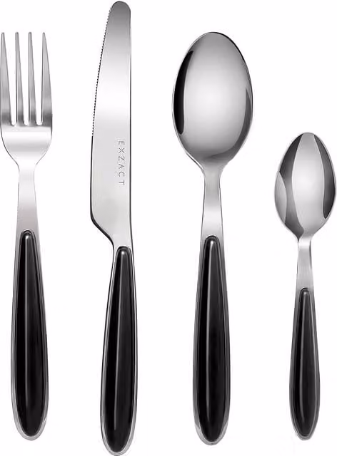 Set de 16 piezas de cubiertos Exzact en acero inoxidable pulido color negro que incluye 4 tenedores, 4 cuchillos, 4 cucharas de mesa y 4 cucharitas