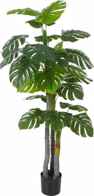 Planta Artificial Monstera HOMCOM de color verde con tronco, ramas de líquen y hojas de tortuga, incluye maceta, Altura: 150 cm