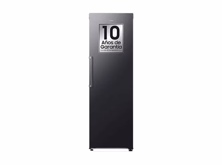 Frigorífico una puerta Samsung Bespoke AI No Frost con Wifi, 387 l, Gris, Altura: 185,8 cm