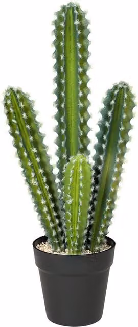 Planta de cactus artificial con maceta NORTHIX en color verde, diseño moderno de suculenta para mesa, Altura: 53 cm