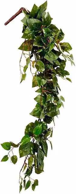 Planta artificial colgante Scindapsus de Mica Decorations, color verde, Altura: 80 cm