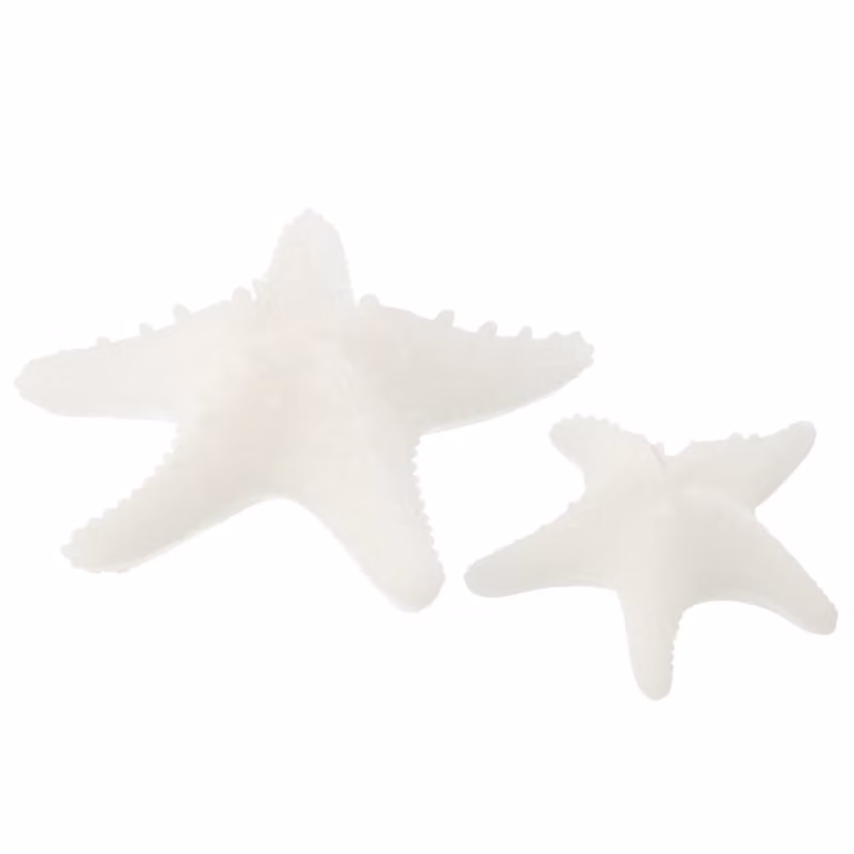 Vela decorativa J-line con forma de estrella de mar blanca, An/P/Al: 20,5 x 20,5 x 6,5 cm
