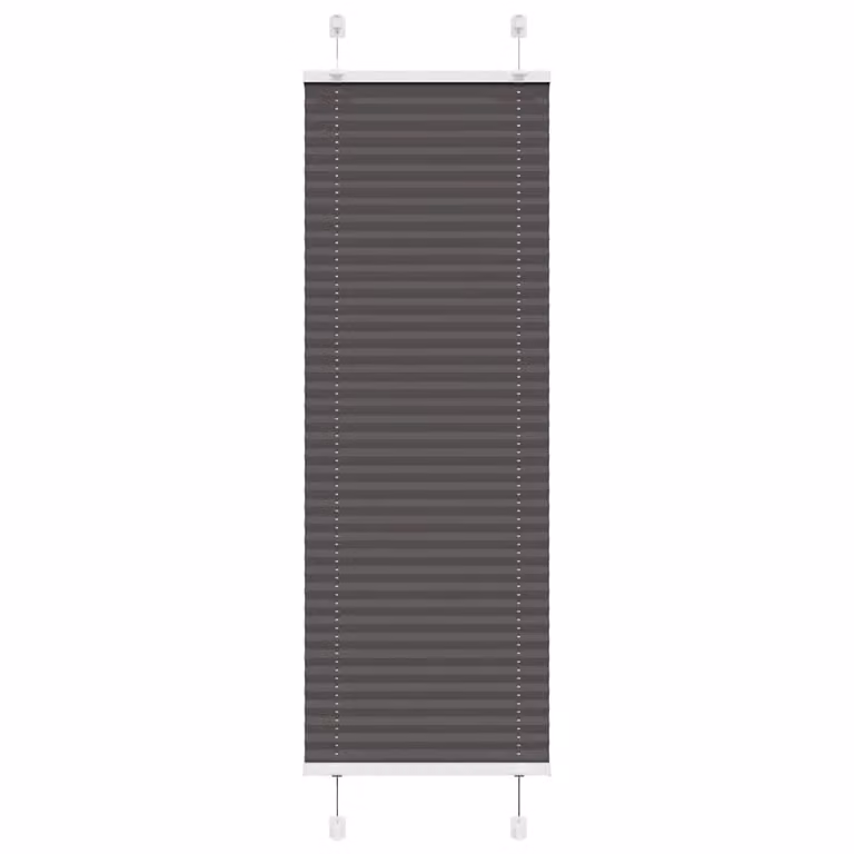 Estor Plisado vidaXL Negro de Poliéster Semitransparente An/Al: 44,4 x 100 cm