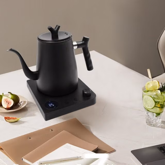 Hervidor eléctrico de té SANBOUSI con filtro, control de temperatura y apagado automático, color negro, 1000 ml