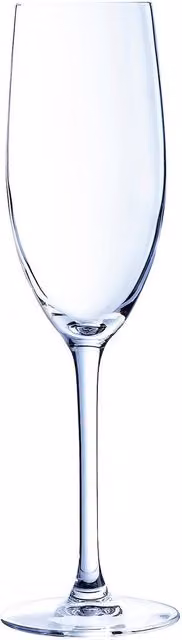 Copa de champán Chef & Sommelier de vidrio transparente de 240 ml