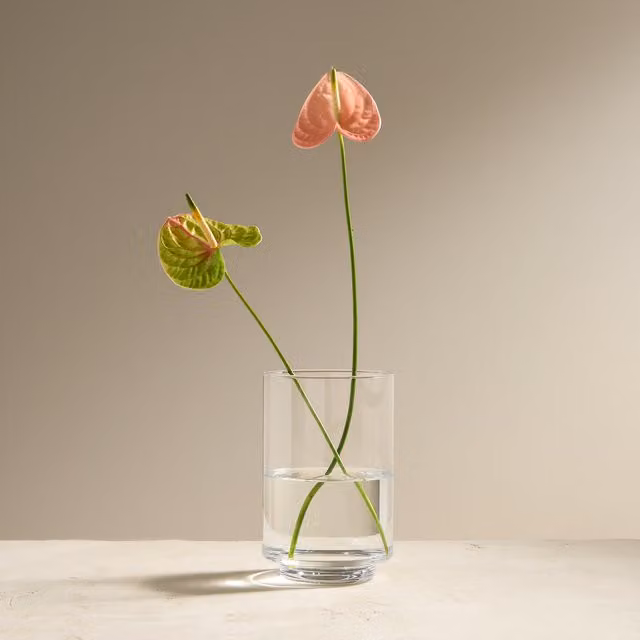 Jarrón Hurricane de El Corte Inglés en cristal transparente de diseño minimalista y forma redonda