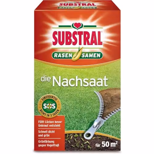 Semillas de reposición para césped Substral de germinación rápida, 1 kg