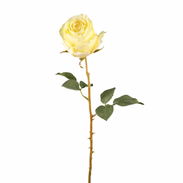 Tallo de rosa artificial amarilla Sia Deco de 49 cm