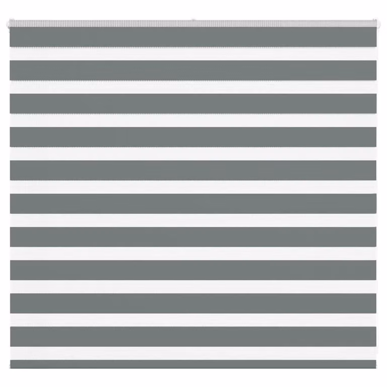 Estor cebra día y noche vidaXL de poliéster, color gris, Ancho: 160,9 cm, Alto: 100 cm