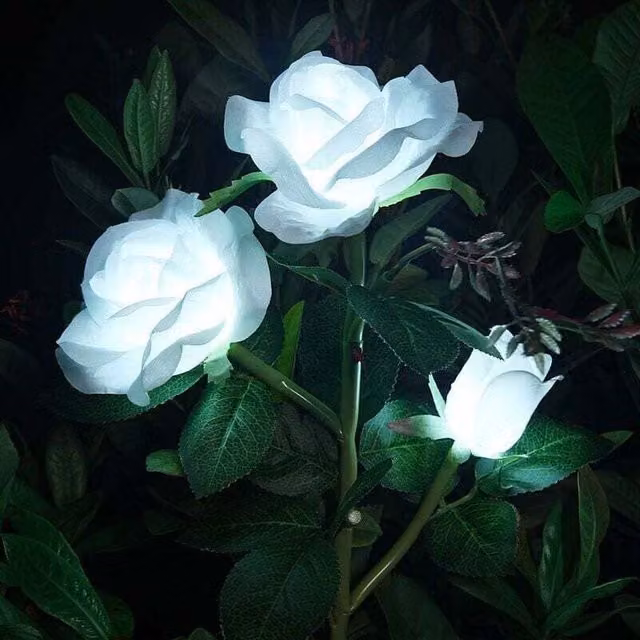 Luces LED Solares de Rosas Artificiales ODIPIE con Sensor Crepuscular e Impermeabilidad IP44 para Decoración de Jardín, Terraza y Balcón en Colores Blanco y Rosa