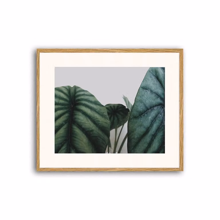 Cuadro de Any Image con impresión fotográfica de motivos naturales y florales en papel, marco de madera natural color marrón, An/Al/P: 62 x 52 x 3 cm