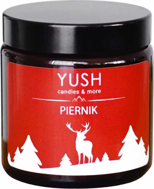 Vela de jengibre Yush con 100% cera de soja, aroma spicy y color marrón, 120 ml