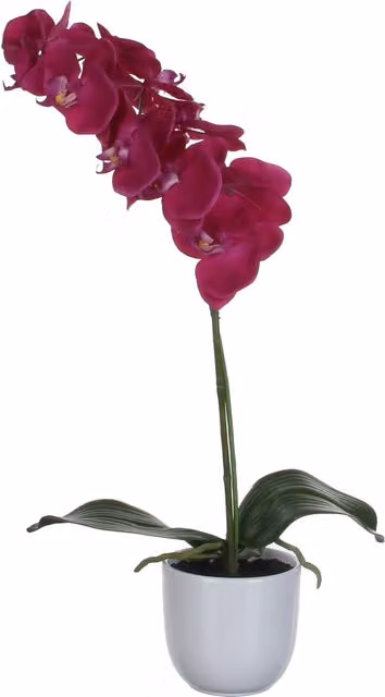 Planta artificial de orquídea Phalaenopsis EDELMAN en colores morado y blanco, Altura: 60 cm, Ancho: 16 cm, Profundidad: 16 cm