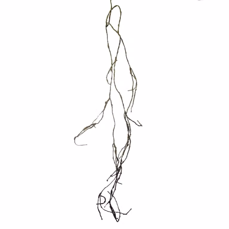Rama artificial con efecto seco verde Sia Deco Altura: 180 cm