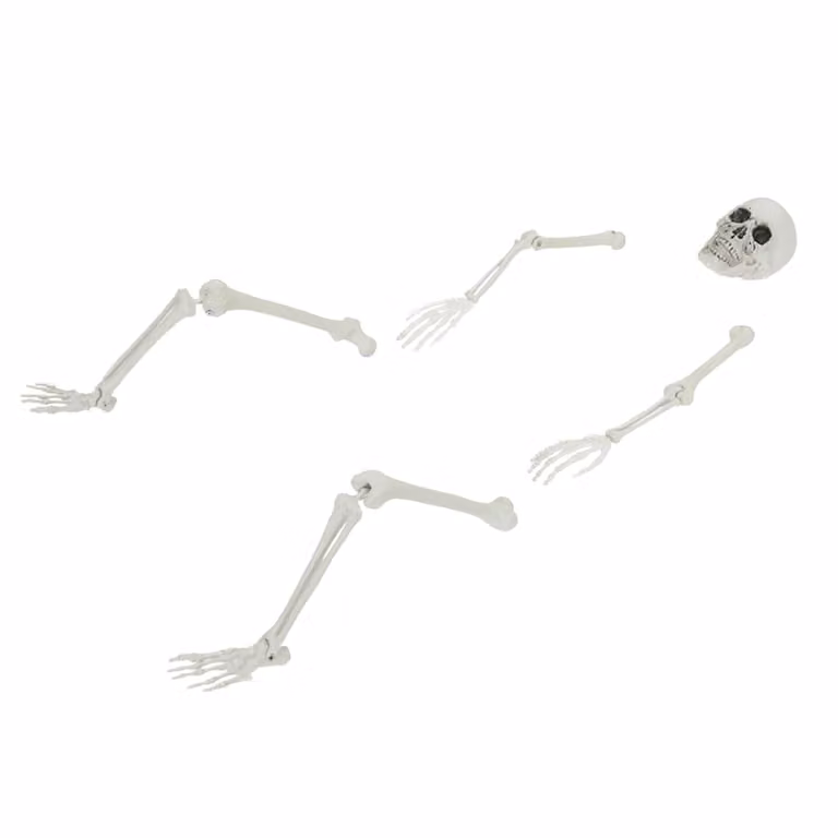 Esqueleto de Halloween vidaXL de plástico blanco con puntas de tierra de 45,5 x 13 cm