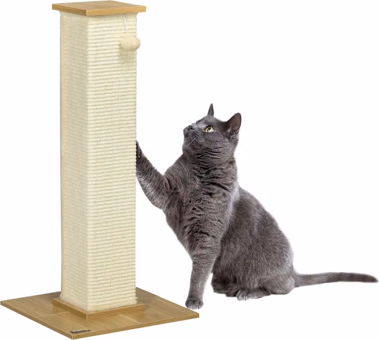 Poste de rascado Northio para gatos con juguetes integrados, cuerda de sisal y pelota, color roble y beige, Altura: 80 cm