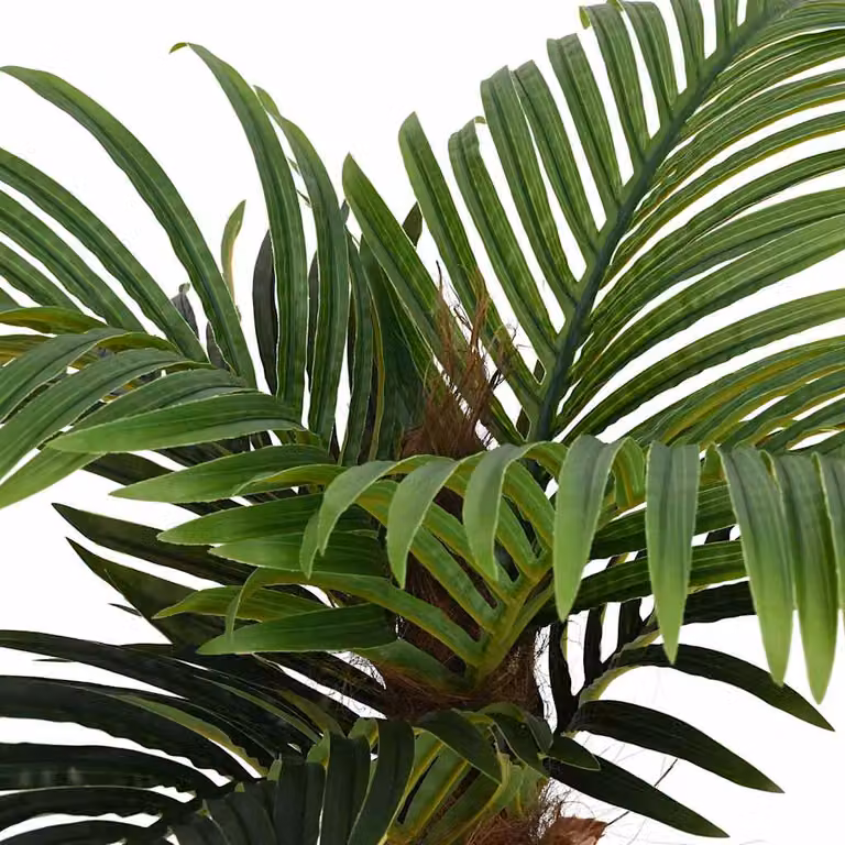 Palmera artificial vidaXL con 12 hojas de color verde, Altura: 150 cm