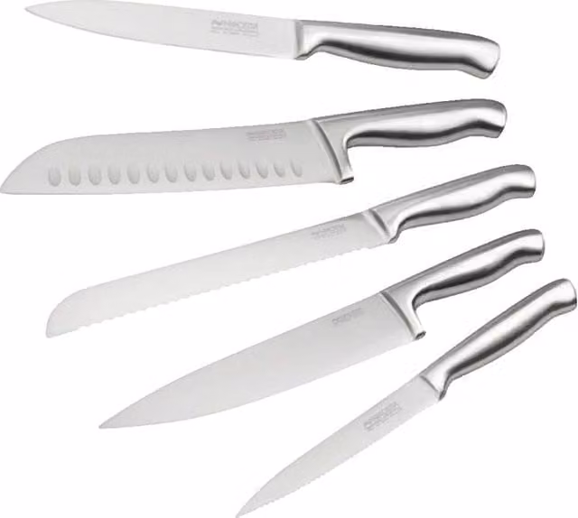 Juego de 5 cuchillos de cocina profesionales Nirosta de acero inoxidable color plata con cuchillo santoku, longitudes de 24 a 33,5 cm