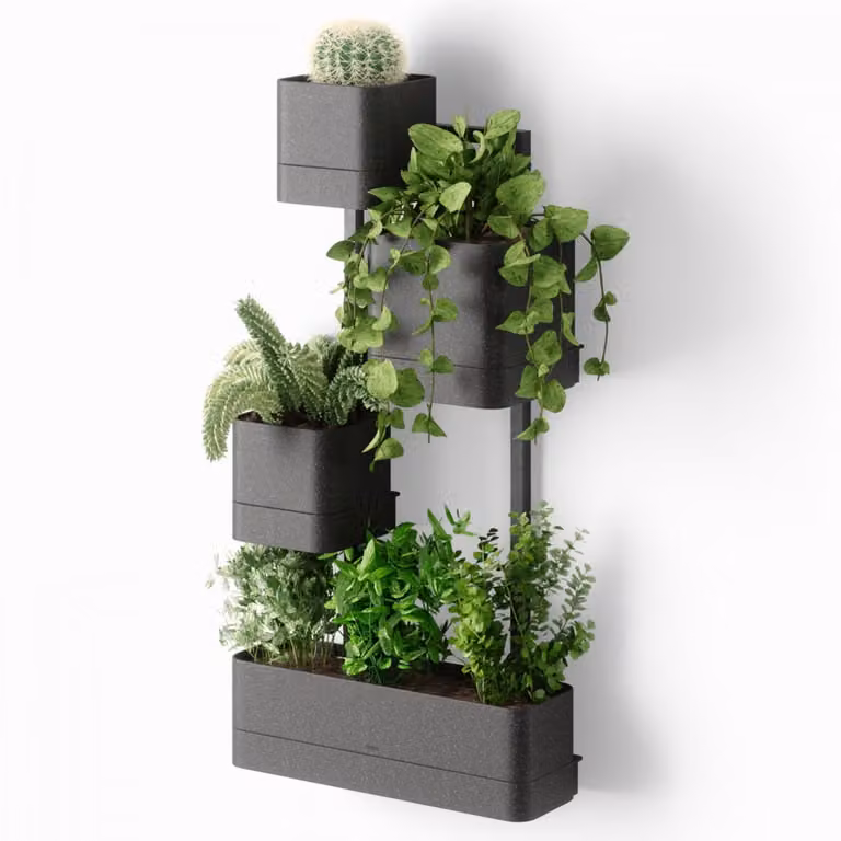 Maceta de pared rectangular Umbra en colores negro y gris para plantas de interior y jardín ornamental