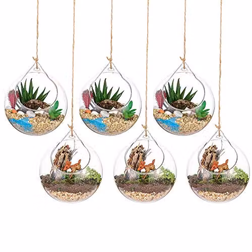 Set de 6 terrarios colgantes de cristal transparente Glasseam para plantas de aire y portavelas, Diámetro: 10,16 cm