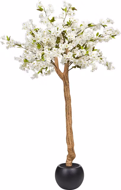 Planta Artificial Cherry Tree Beliani con Maceta Negra, Color Blanco y Marrón, Altura: 180 cm