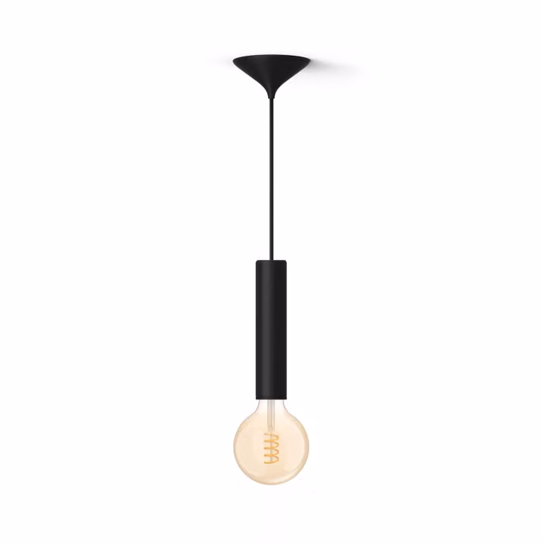 Pack Philips Hue con bombilla de filamento G125 tipo globo y cable negro, luz blanca regulable de cálido a frío