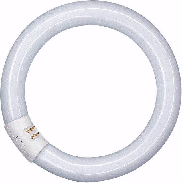 Tubo fluorescente Osram Lumilux T9 C G10Q de 40W color blanco frío