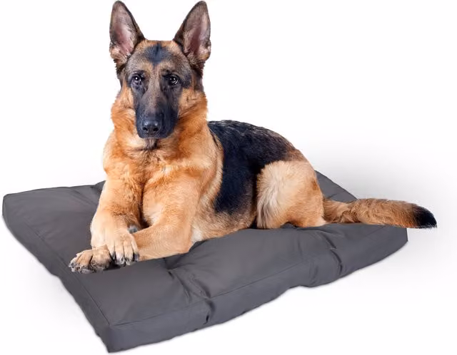 Cama para perros Relaxdays, impermeable y con funda extraíble, gris, An/P: 110 x 90 cm