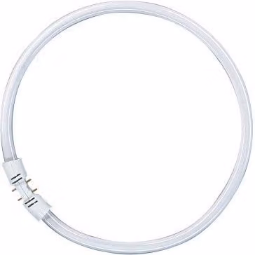 Lámpara fluorescente Osram Lumilux T5 Ring 22 W 2Gx13 Blanco Cool White