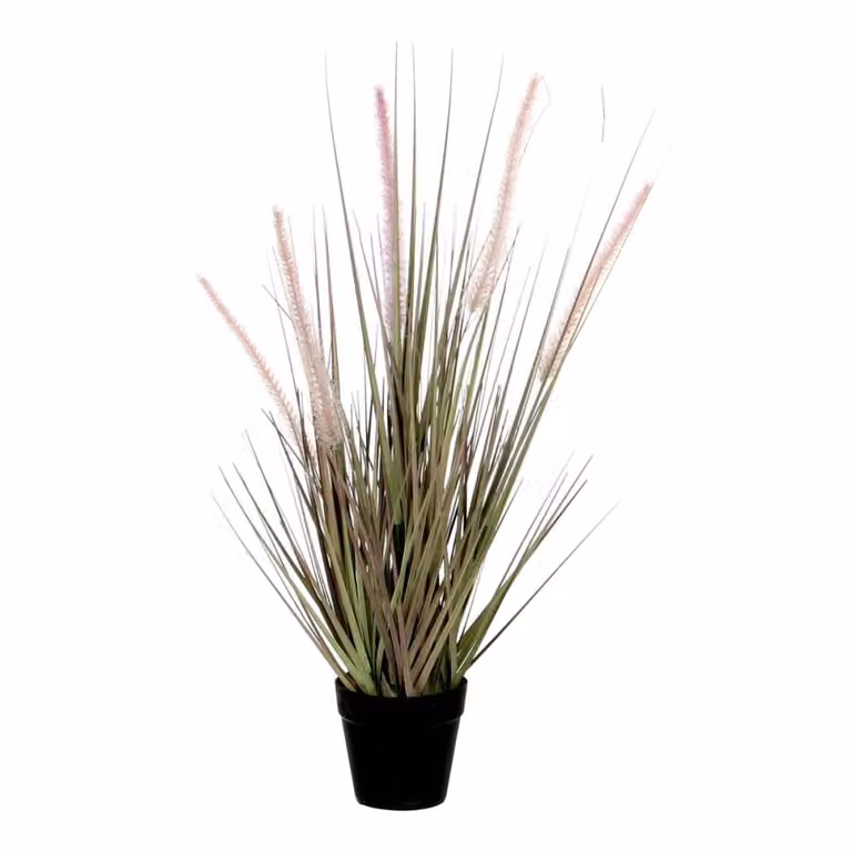 Planta artificial dogtail morada de Mica Decorations con maceta redonda, An/P/Al: 30 x 30 x 53 cm