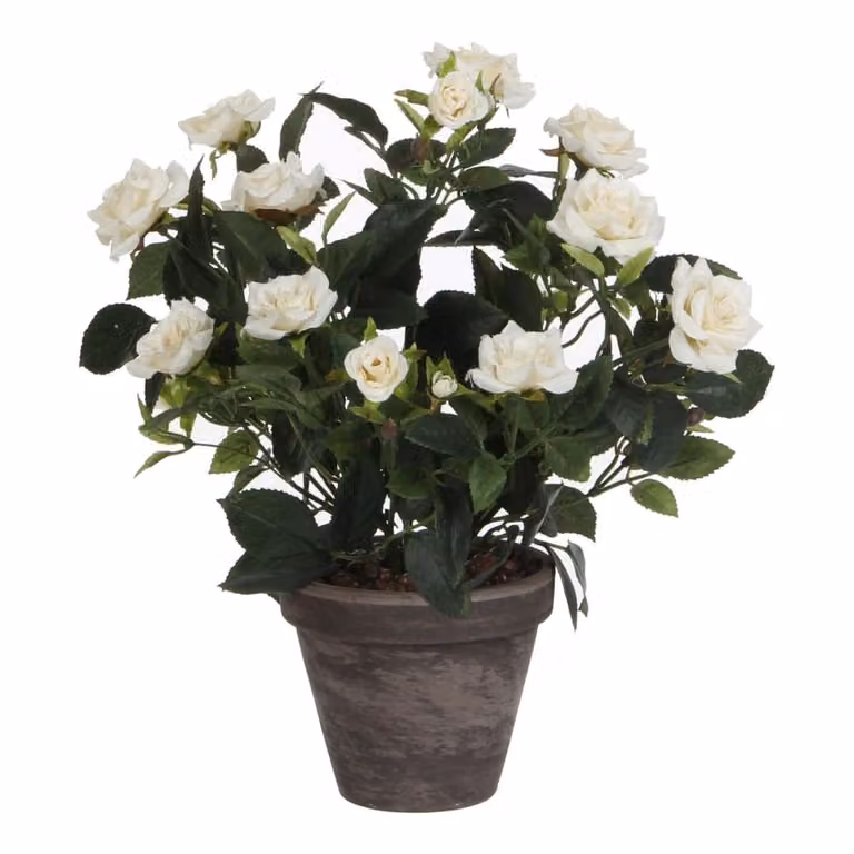 Planta artificial de rosas blancas Mica Decorations en maceta de cerámica, Altura: 33 cm, Ancho: 25 cm, Profundidad: 25 cm
