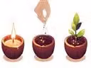 Vela plantable de manzana acaramelada Nature et Decouvertes con aroma frutal y color marrón