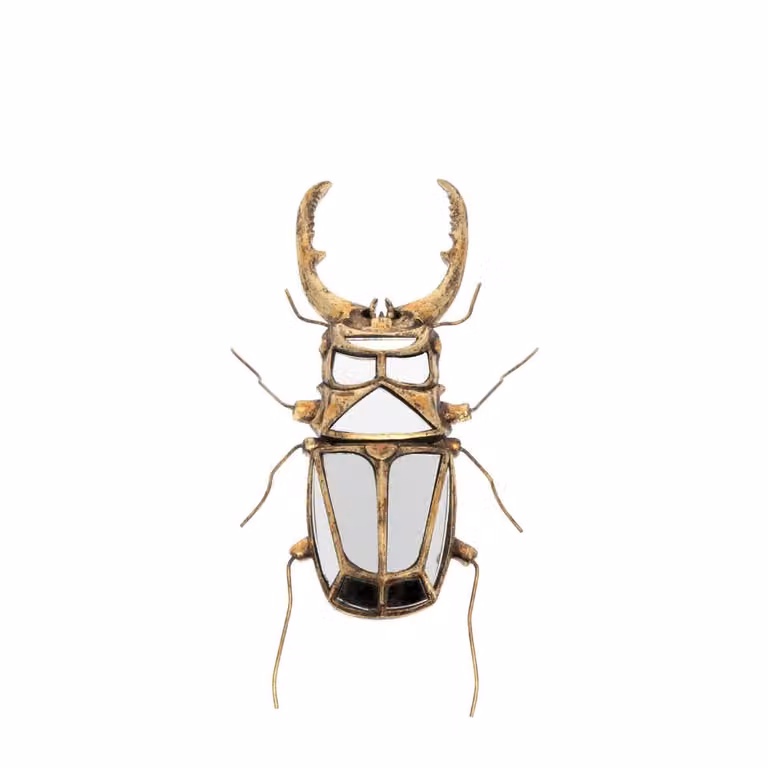 Figura de pared de insecto con espejo de Chehoma en resina color dorado, Altura: 43 cm