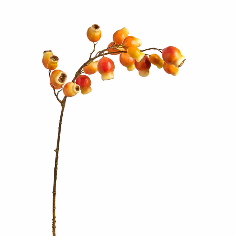 Rama de rosa mosqueta artificial Sia Deco color naranja y púrpura estilo otoño Altura: 90 cm