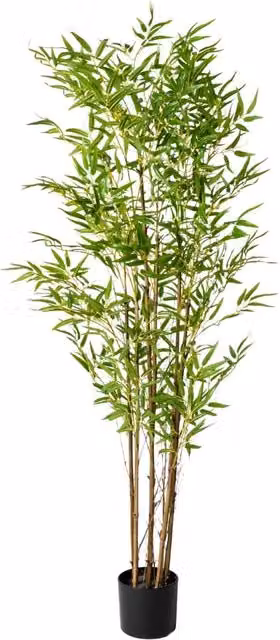 Planta artificial de bambú verde KACTUS REPUBLIC con maceta, Altura: 150 cm