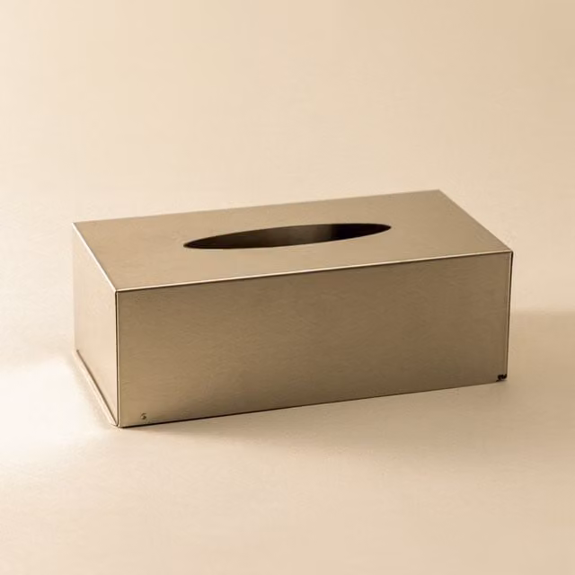 Caja para pañuelos de acero inoxidable Cosmic Architect S+ en color plata