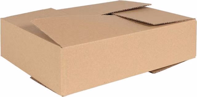 Set de 50 cajas plegables de cartón vidaXL en color marrón, An/P/Al: 40 x 30 x 10 cm