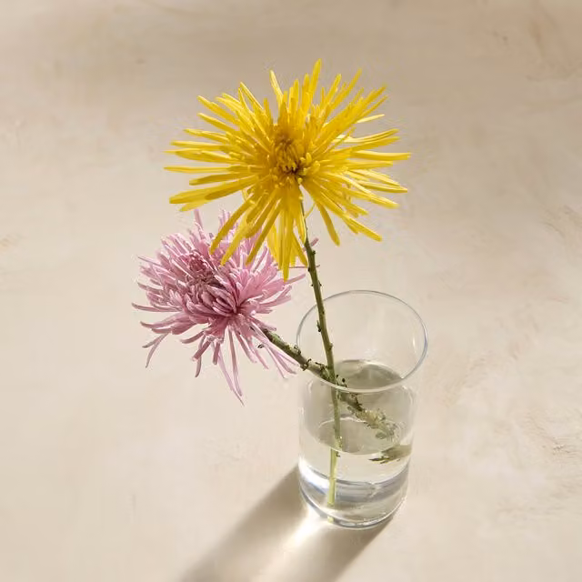 Florero Cilinder de El Corte Inglés en cristal transparente de diseño minimalista y rectangular para mesa