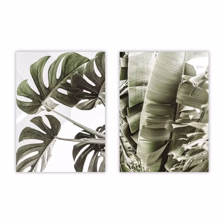 Set de 2 posters florales modernos de Poster Lab, multicolor y verde, An/Al: 30 x 40 cm