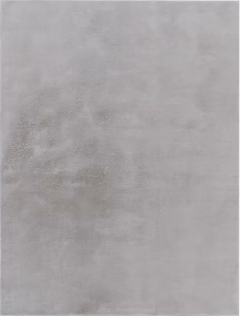 Alfombra suave Solina gris rectangular An/P: 60 x 90 cm