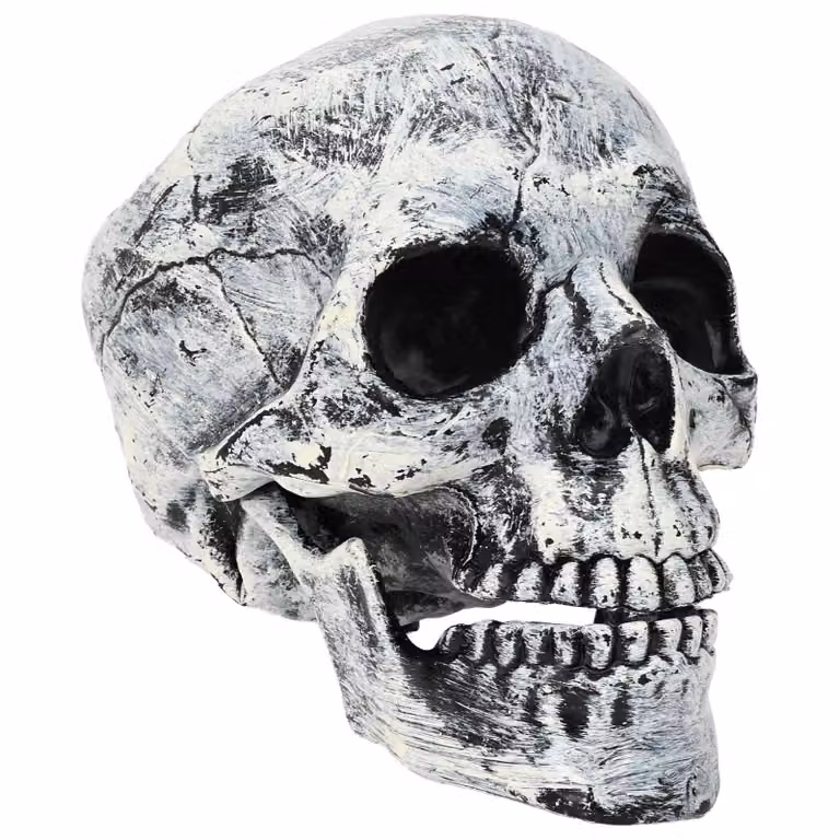 Set de 2 calaveras de Halloween SPOOKA vidaXL en color blanco, An/P/Al: 12 x 15 x 17.5 cm