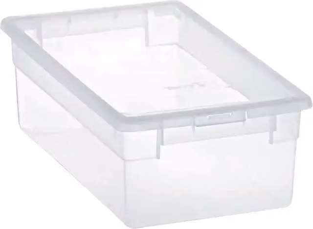 Caja de almacenaje Light Box BAUHAUS transparente con tapa y apilable, L x An x Al: 33,4 x 19 x 11 cm