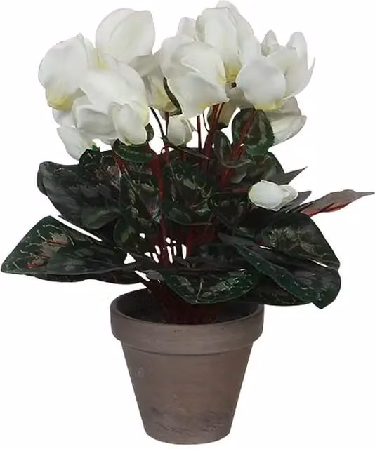 Planta artificial Cyclamen de Mica Decorations en color blanco y verde con maceta de cerámica, Altura: 30 cm
