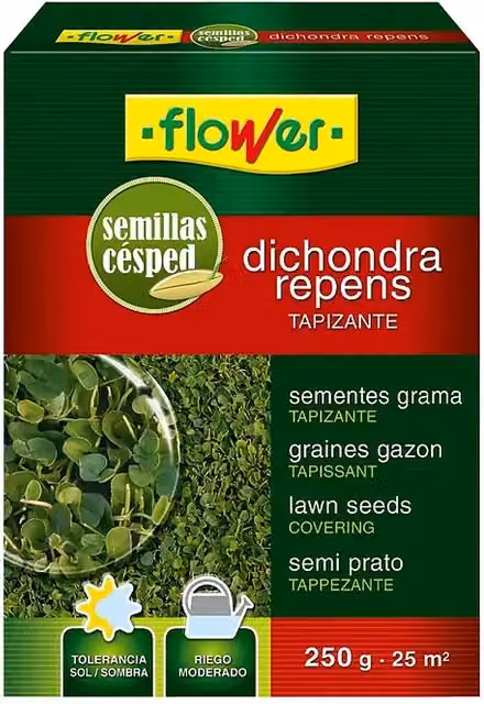 Semillas de césped tapizante Dichondra Repens de Flower, 250 g